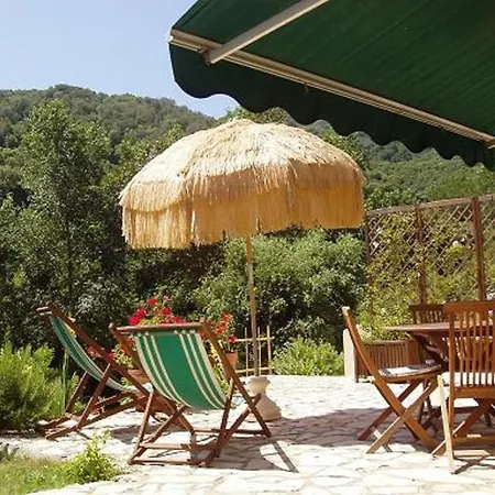 Elba Island Capoliveri, Ulivo *